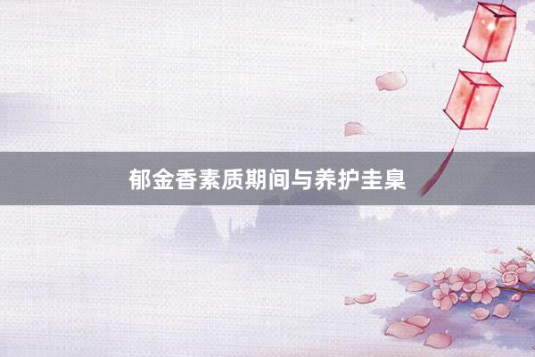 郁金香素质期间与养护圭臬